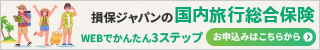 損保ジャパン 国内旅行総合保険